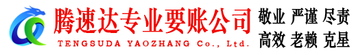 曾都要账公司